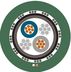 ETHERLINE-T1-FLEX-SPE