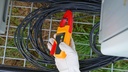 Fluke 283FC_4