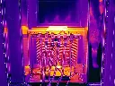 FLIR0251.webp