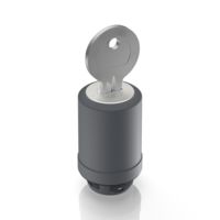RAFI 1.30.275.913/0000 RAFIX 22 FS+  - Avainlukituskytkin E7 eturengas metallihopea 1x90° muoto V lukittuva avaimen poistoasento 0