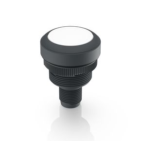[1.10.071.001/0221] RAFI 1.10.071.001/0221 RAMO 22 I Merkkivalo - M12, round collar, lamp white, bezel white, M12 4-pin A-coded