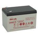 ENERSYS 12HX50FR DATASAFE SULJETTU LYIJYAKKU 12V 54W/KENNO 10 VUOTTA