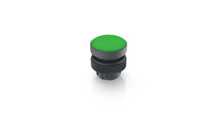 [1.74.505.501/1500] RAFI 1.74.505.501/1500 RAFIX 22 QR Merkkivalo - flat bezel, round collar, bezel green