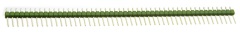 1X50NAP SUORA, KULTA