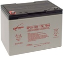 ENERSYS NP75-12 GENESIS LYIJYAKKU 12V 65AH 3-5 VUOTTA